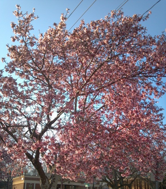 2014-03-01_16-24-21_105