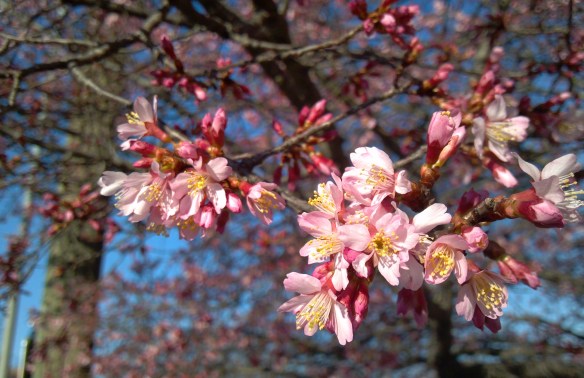 2014-03-01_16-29-47_153